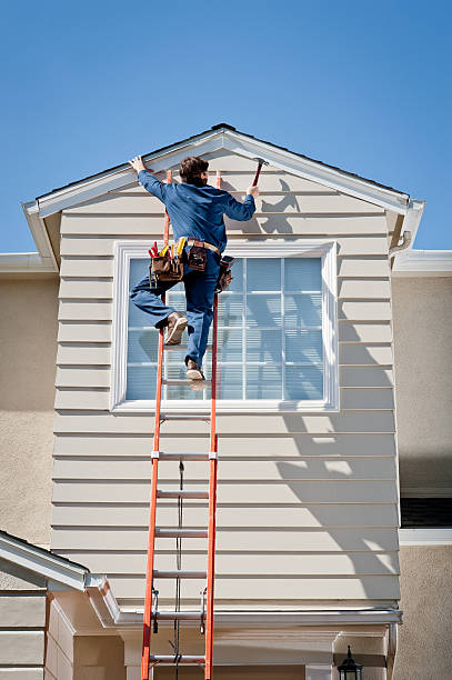 Affordable Siding Repair and Maintenance Services in Ithaca, MI